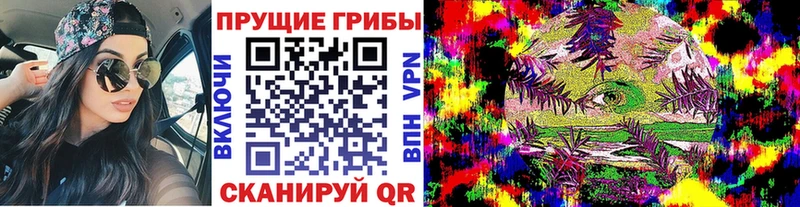 купить наркотик  Вязьма  Галлюциногенные грибы MAGIC MUSHROOMS 