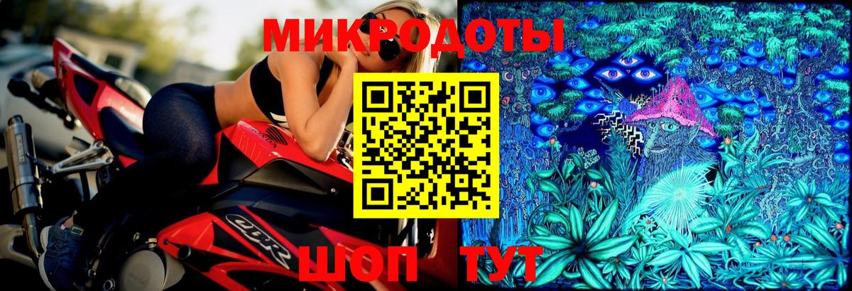 Псилоцибиновые грибы мухоморы  как найти   Псилоцибиновые грибы Cubensis  Вязьма 