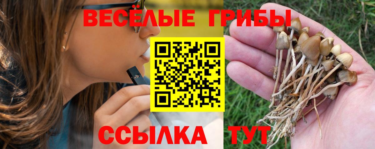 Вязьма  Псилоцибиновые грибы Cubensis  Вход с VPN 