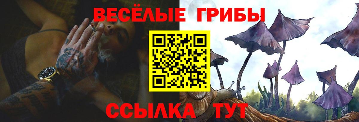 Галлюциногенные грибы Magic Shrooms Вязьма
